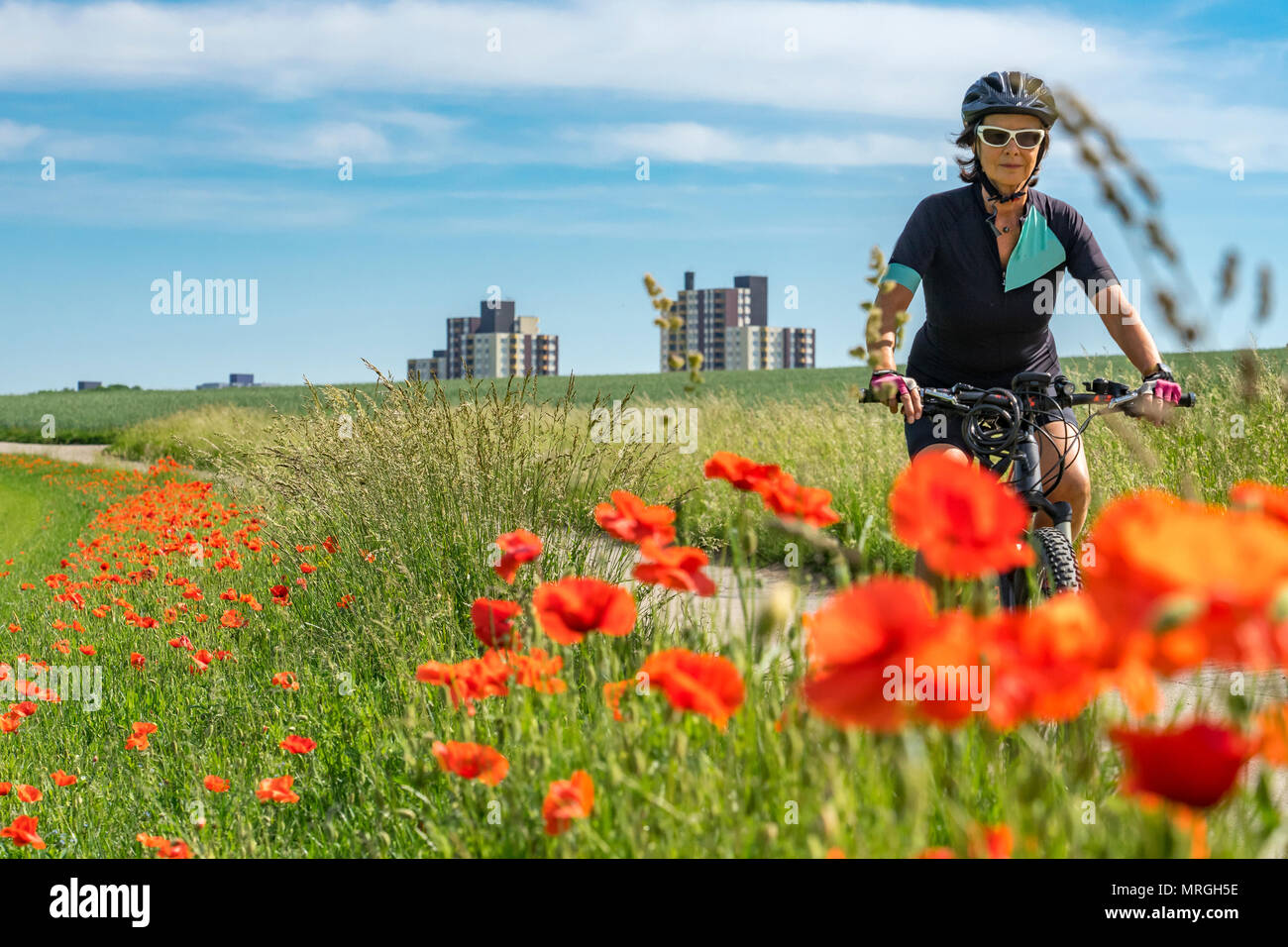 Nice senior woman riding a e-Mountainbike dans la banlieue d'une grande ville, entourée de champs verts et rouge coquelicot Banque D'Images