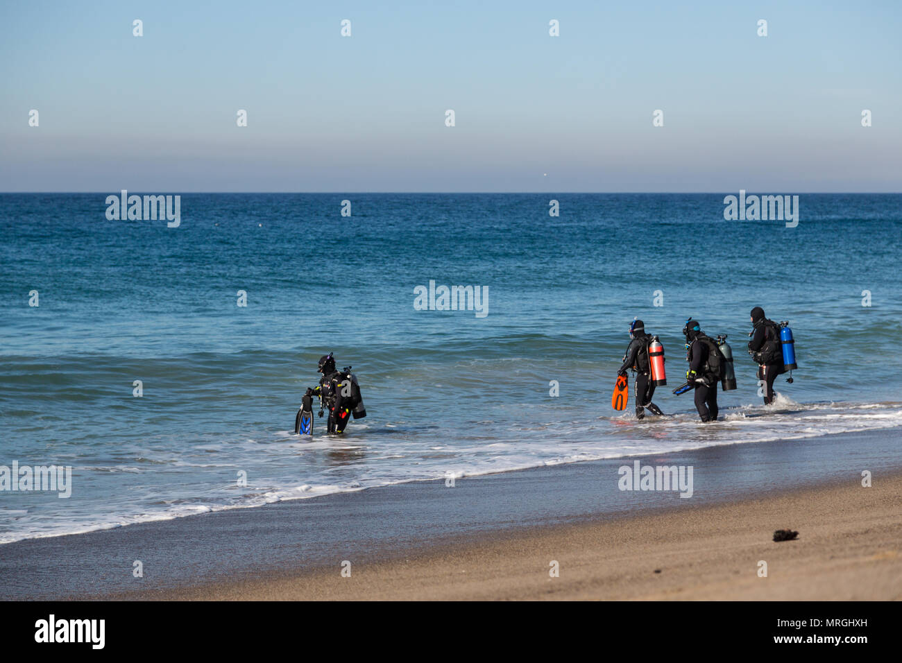 Un groupe de plongeurs entre dans l'eau pour une plage plongée (plongée du rivage) à Malibu, en Californie. Banque D'Images