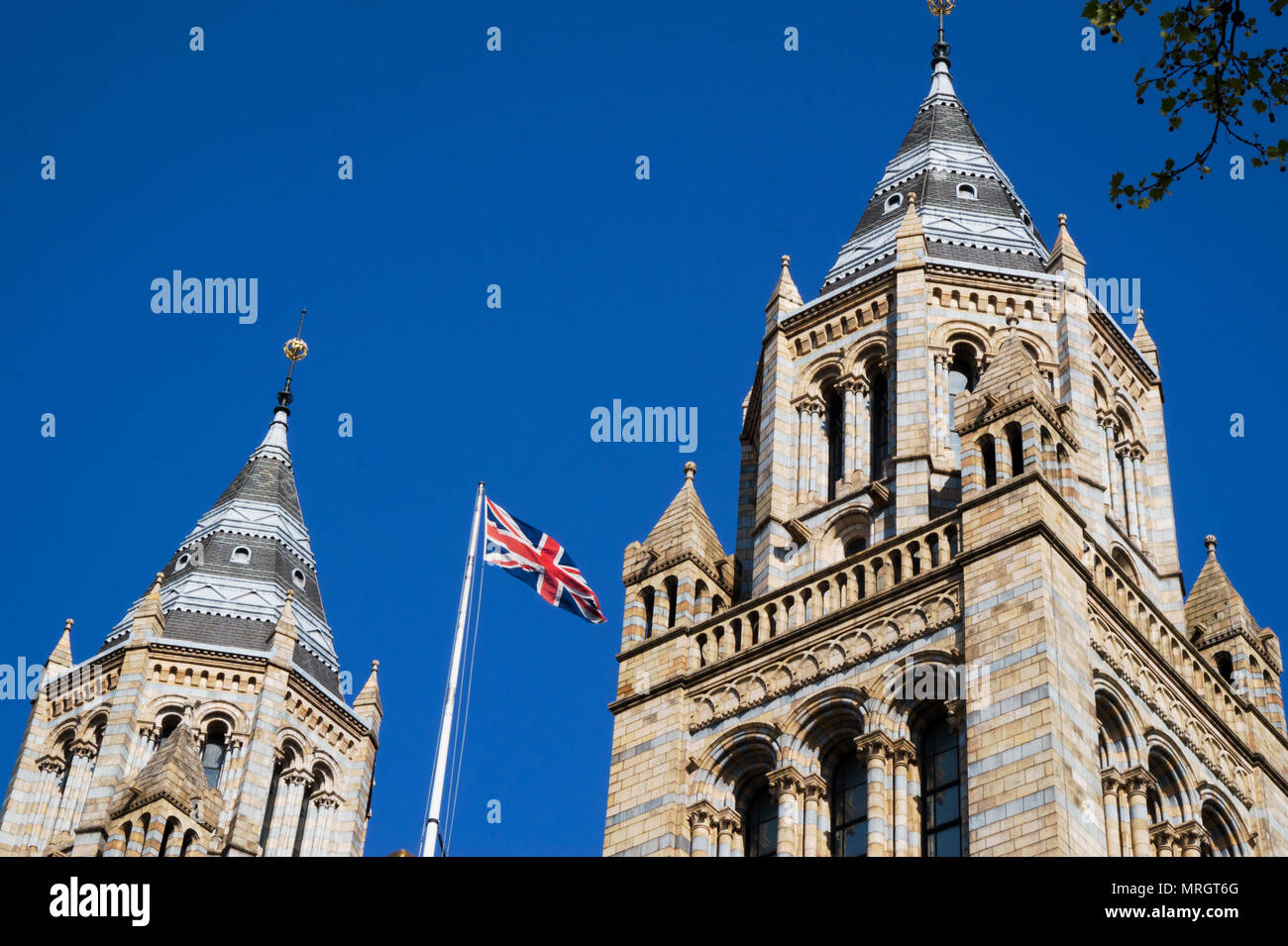 Natural History Museum London England Banque D'Images