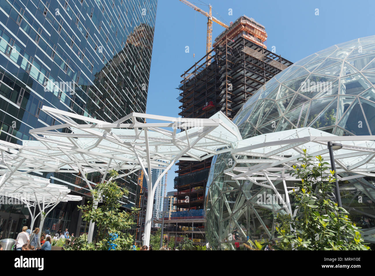 Amazon World Headquarters outdoor canopy région des employés avec les sphères et les nouvelles constructions. Banque D'Images