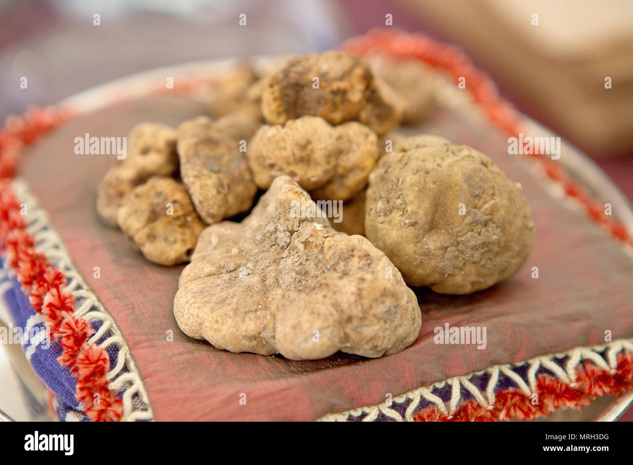 L'italien aux truffes blanches (Tuber Magnatum). Festivals et foires en Italie Banque D'Images