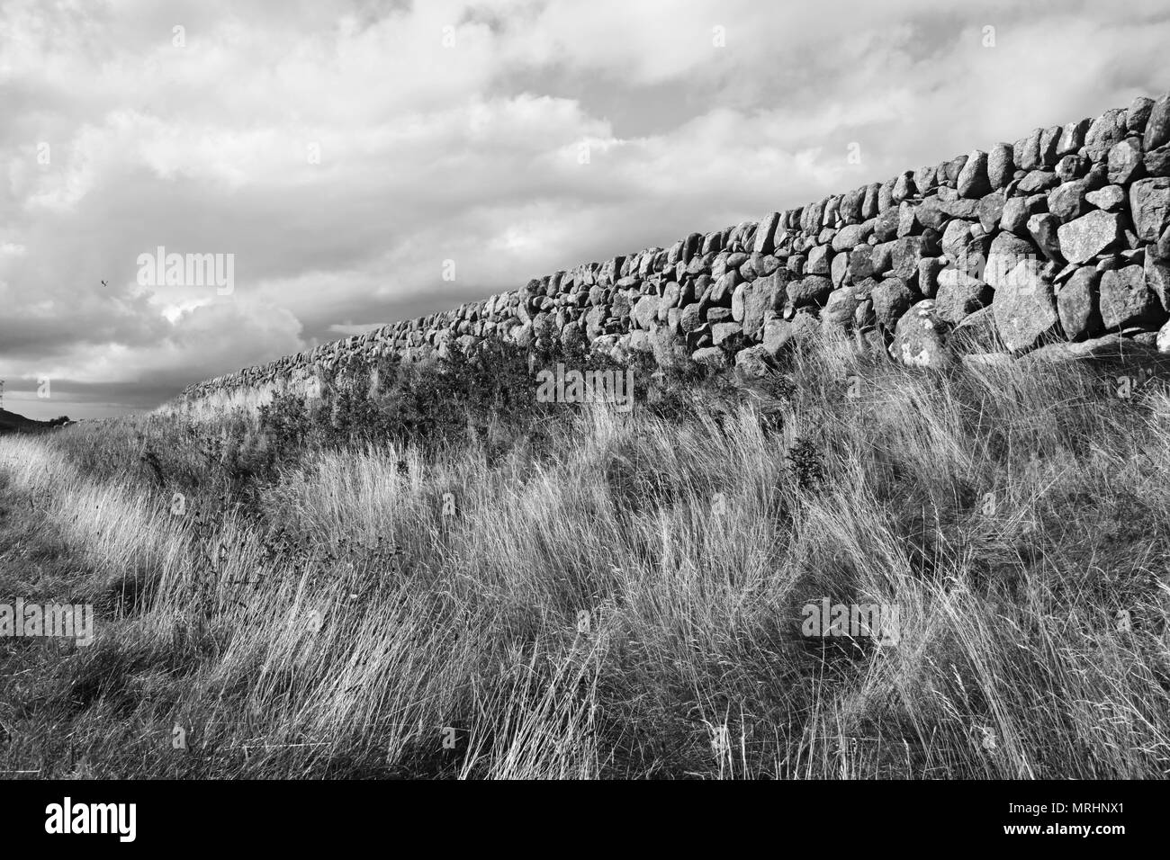 Mur de pierre - Noir & Blanc Banque D'Images