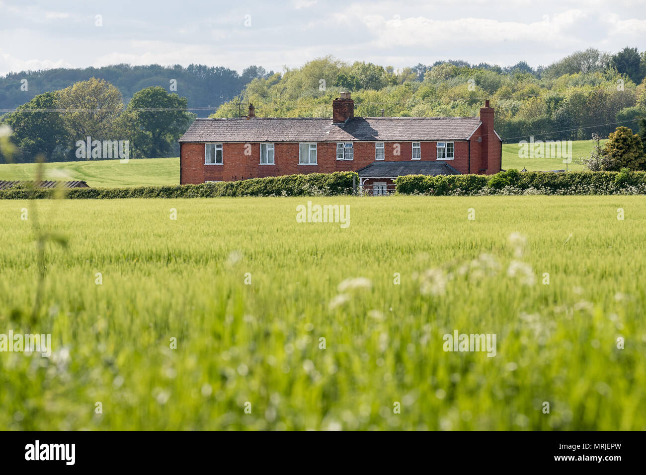 Une maison en brique rouge de campagne se trouve sur un champ de cultures dans un labyrinthe vert green country side, Worcestershire, Angleterre. Banque D'Images