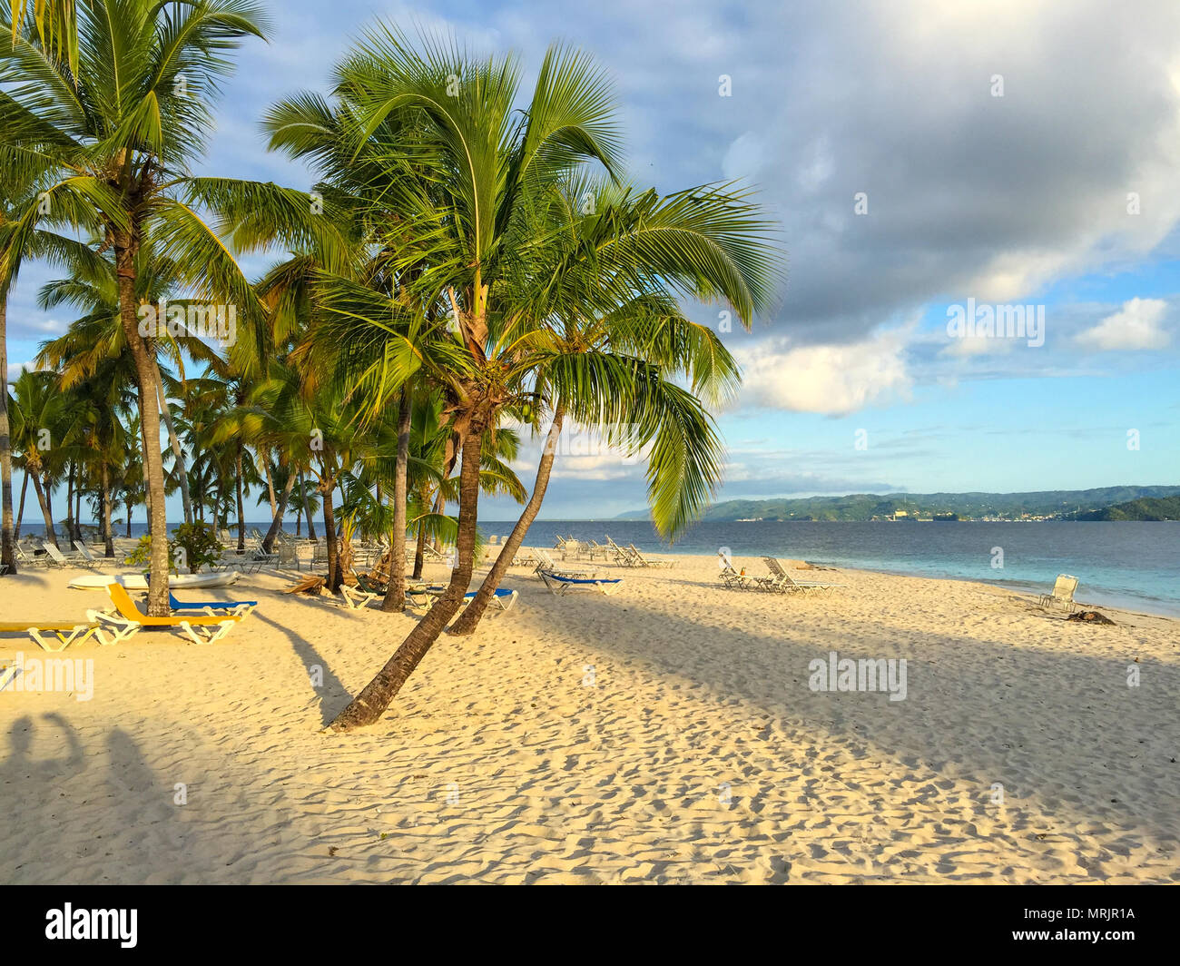 Plage de la mer des Caraïbes, belle plage de sable, de palmiers et de chaises longues, l'ombre du soleil Banque D'Images