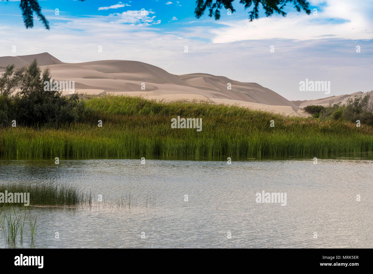 Désert d'Ica au Pérou, dunes de sable et lagon, l'Amérique du Sud. Banque D'Images
