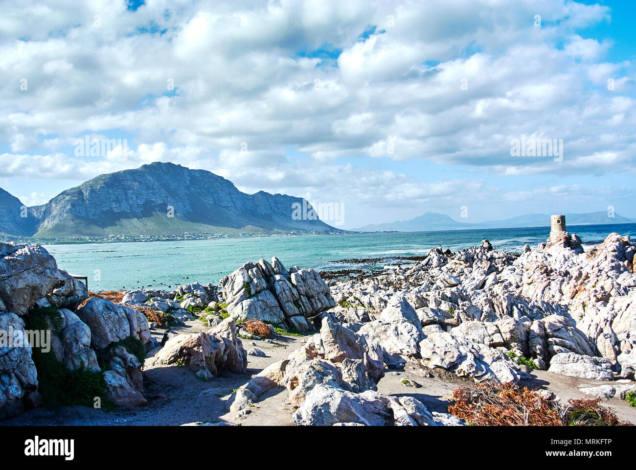 La colonie de pingouins de Stony Point est situé à Betty's Bay sur la côte d'Overberg, Western Cape, et est l'un des seuls pays africains en poste à continentale P Banque D'Images