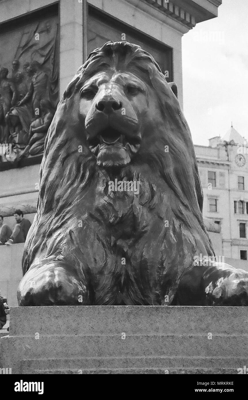 Londres, Royaume-Uni, 2018.( Image prises sur film Ilford FP4 et numérisées à convertir au numérique) Lion à Trafalgar Square Banque D'Images