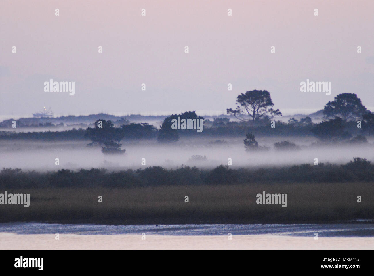 Belle vue sur l'île Anastasia, à Saint Augustine, en Floride, rappelle des endroits lointains comme l'Afrique. Une image granuleuse et douce. Banque D'Images