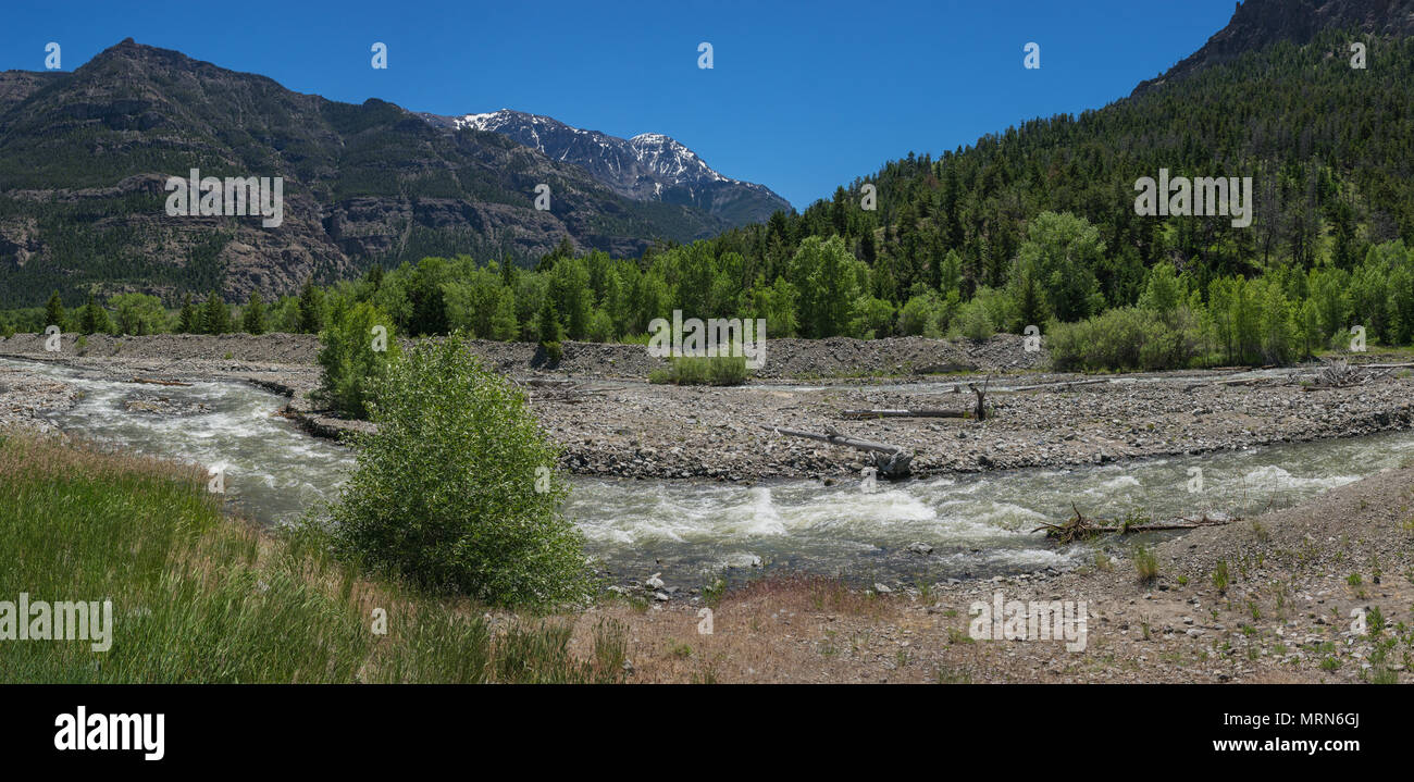 Les débits d'eau blanc passé une région forestière dans le nord du Wyoming. Banque D'Images