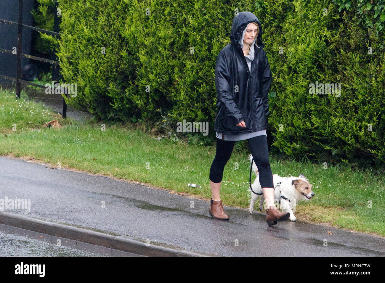Chippenham, UK, 27 mai 2018. Une femme marche un chien est photographié bravant la forte pluie à Chippenham aussi lourds orages font leur chemin à travers le sud de l'Angleterre. Credit : lynchpics/Alamy Live News Banque D'Images