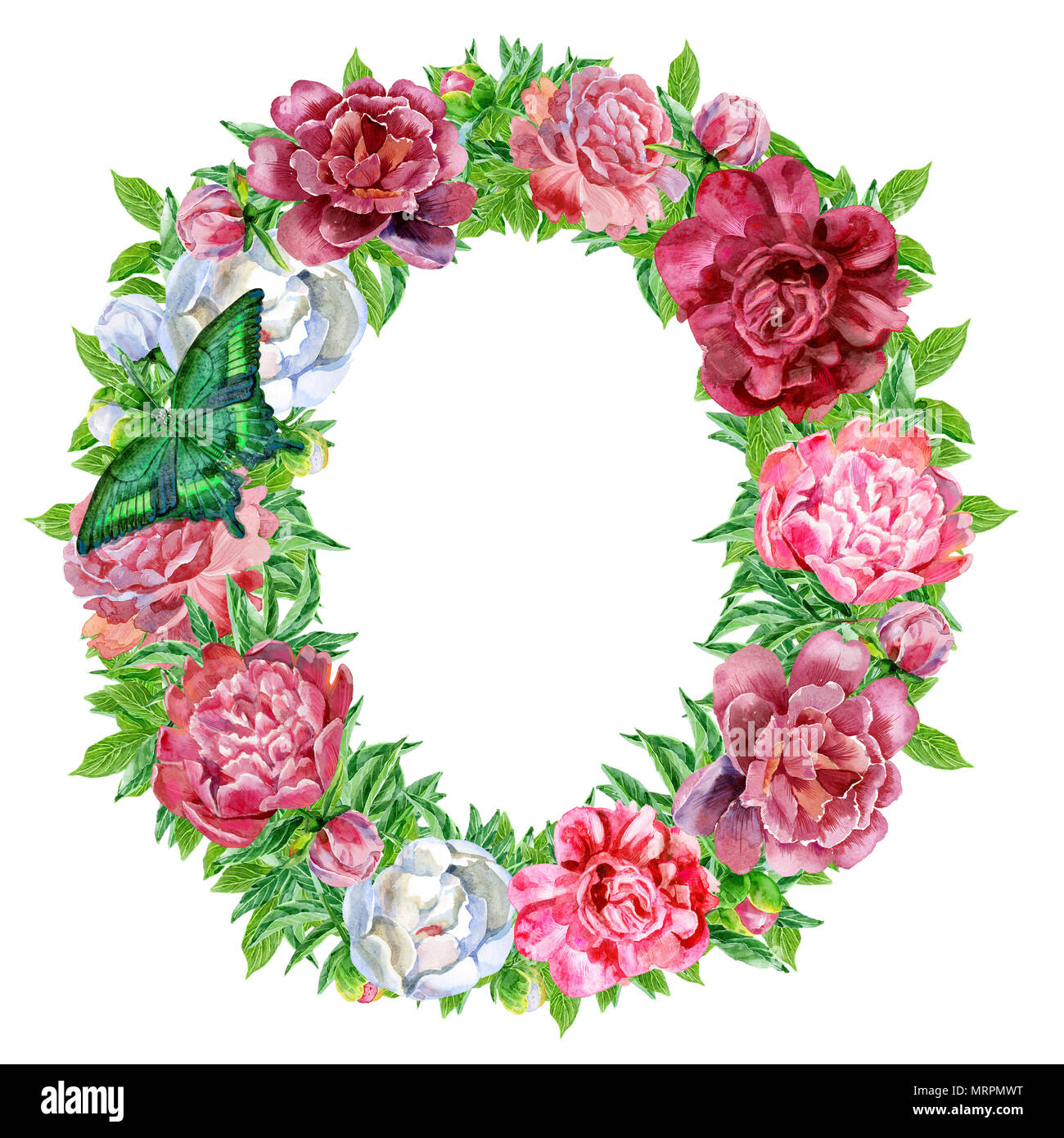 La lettre O de fleurs Aquarelle, dessinés à la main, isolé sur un fond blanc, mariage, design de l'alphabet Banque D'Images