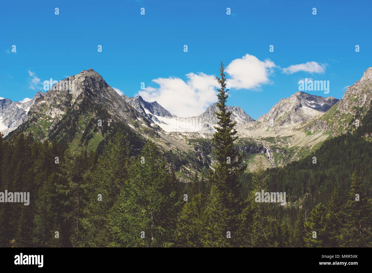 Le Magnifique Paysage De Montagne Sapins Verts Sur L Arriere Plan Du Haut Altai Photo Stock Alamy Le Magnifique Paysage De Montagne Sapins Verts Sur L Arriere Plan Du Haut Altai Photo Stock Alamy