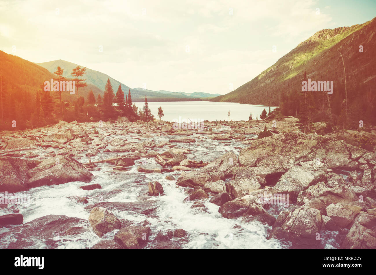 Le débit rapide de l'eau dans la rivière de montagne qui se jette dans le lac. Multinskoe De l'Altaï, en Russie. light toning Banque D'Images