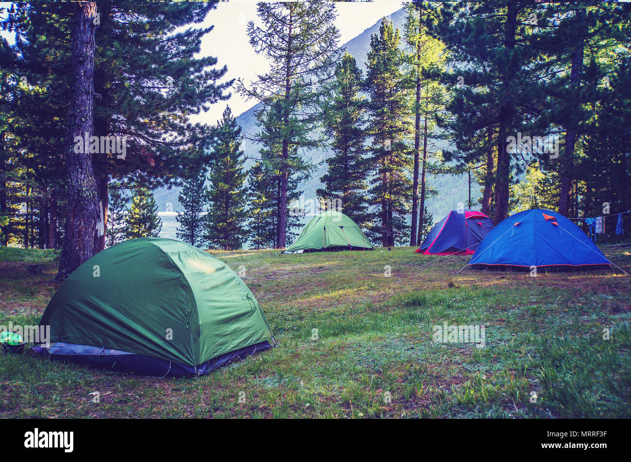 Un certain nombre de tentes debout sur une prairie dans les bois sur un fond de lac et montagnes. Camping dans la forêt de pins Banque D'Images