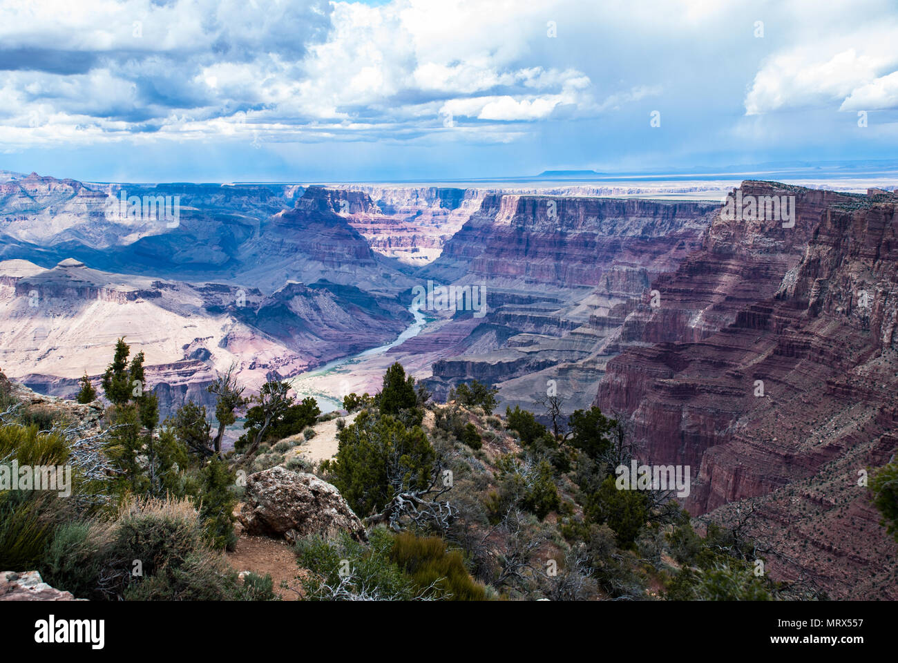 Grand Canyon, South Rim, vue sur la rivière Colorado, l'Arizona, Parc National, USA, Red Rock Formations, les plantes du désert Banque D'Images