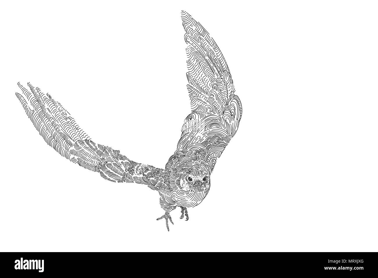Flying bird falcon Amur isolé sur fond blanc, dessin vector illustration Illustration de Vecteur