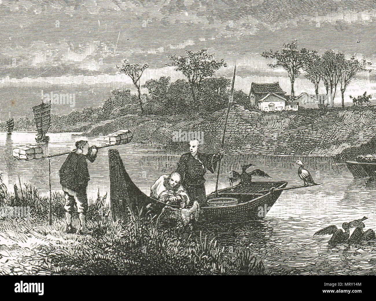 La pêche au cormoran en Asie, 19e siècle illustration Banque D'Images