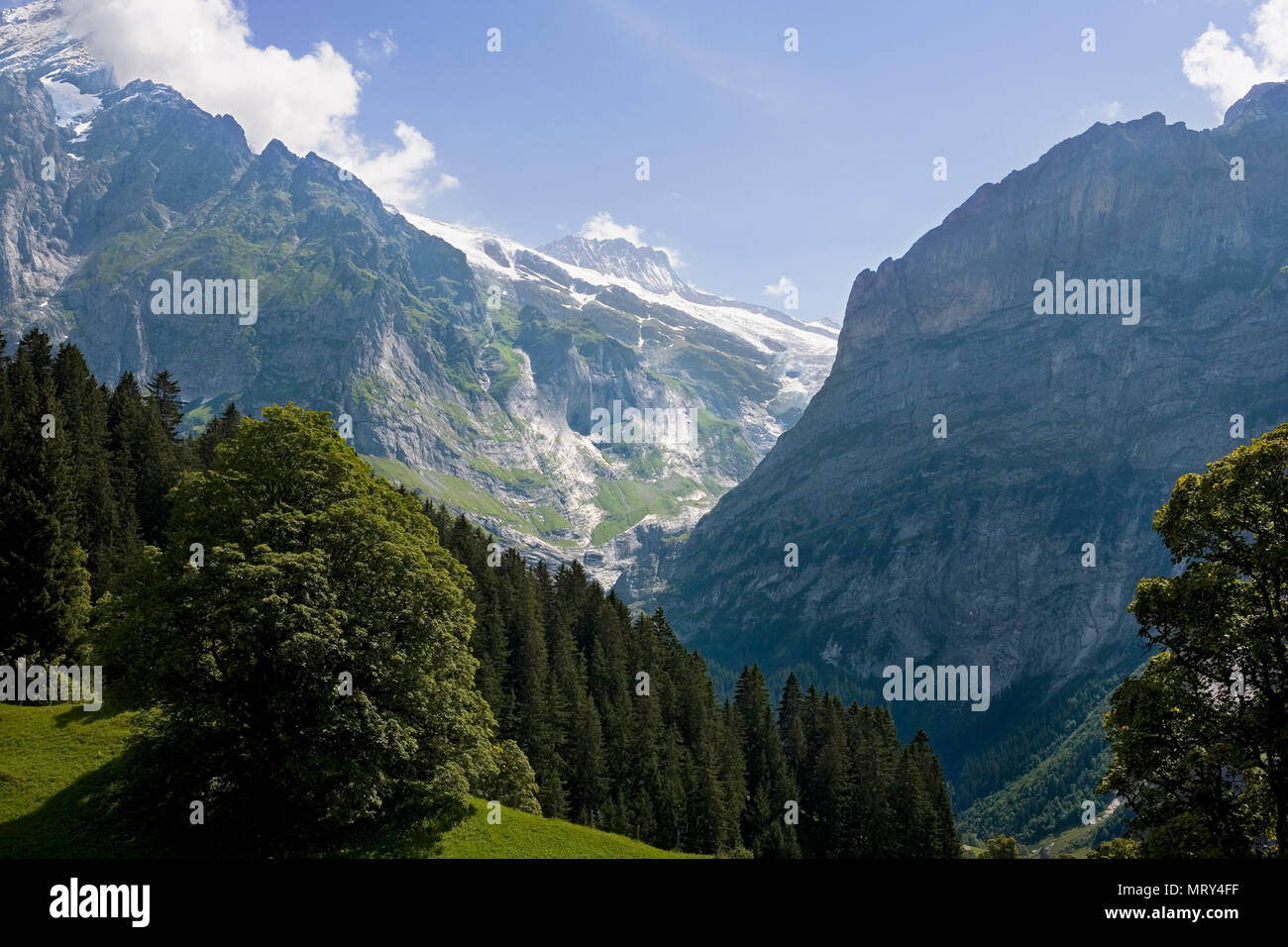 La vallée de l'Oberer Grindelwaldgletscher prises à partir de la Première télécabine à travers le Lüschental, Oberland Bernois, Suisse Banque D'Images