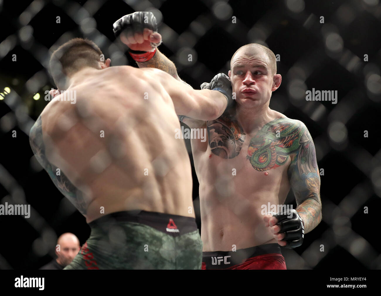 Bradly Scott (à droite) en action contre Carlo Pedersoli Jr lors de l'UFC  Fight Night au Liverpool Echo Arena Photo Stock - Alamy