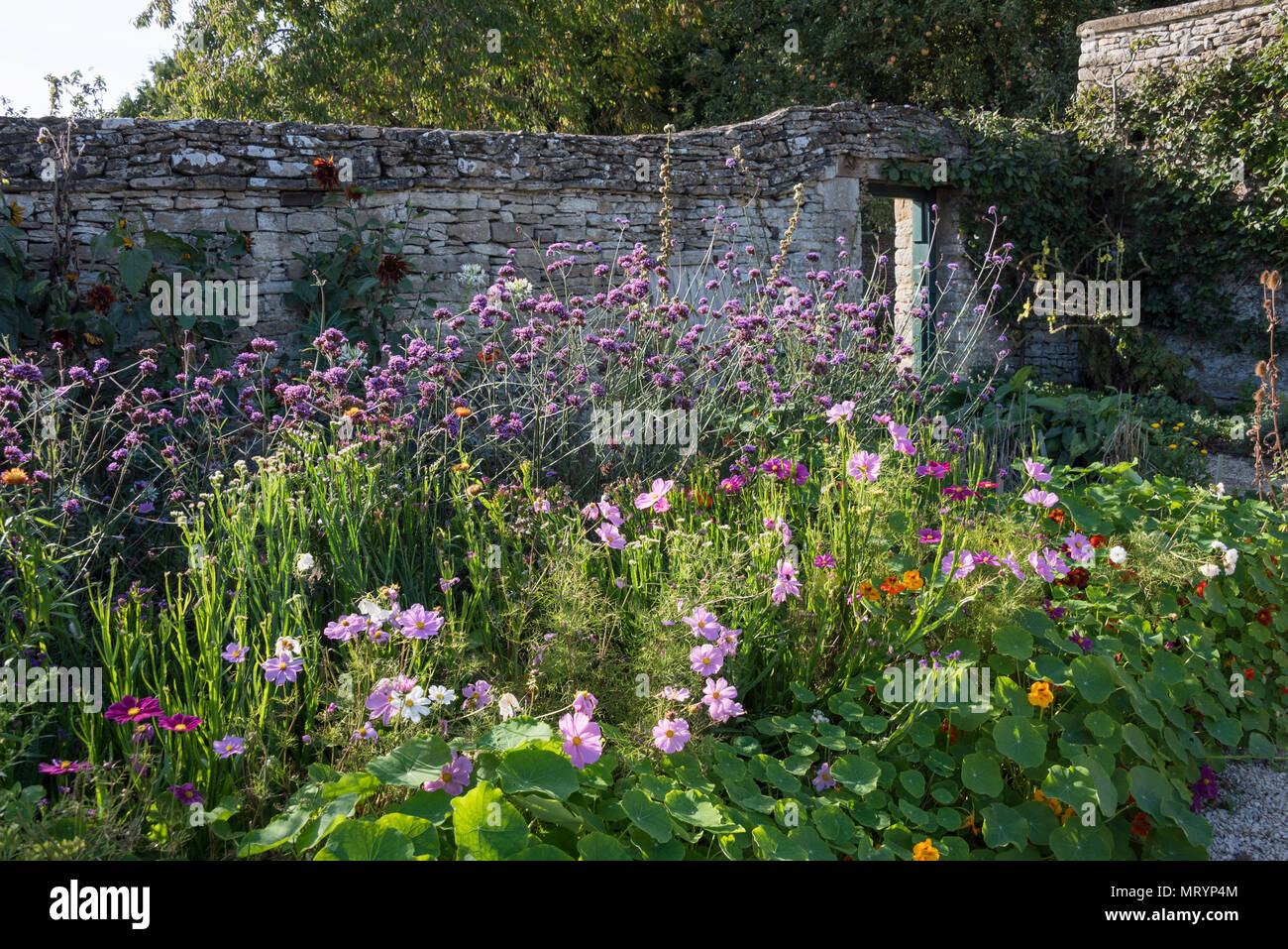 Le potager, Cogges Farm Museum, Witney, Oxfordshire Banque D'Images