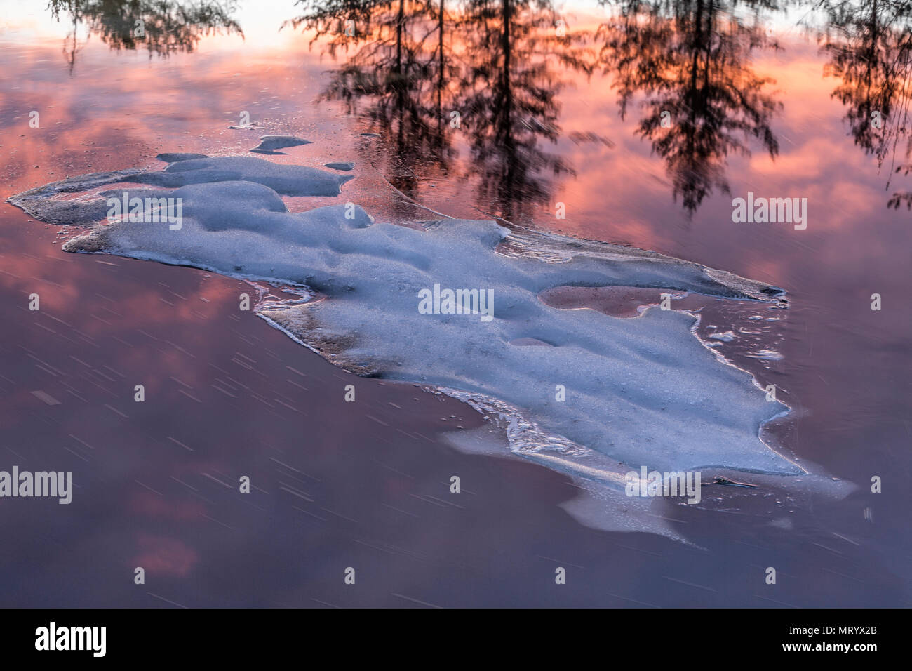 Ice et réflexions de coucher du soleil dans des milieux humides, Sudbury, Ontario Banque D'Images