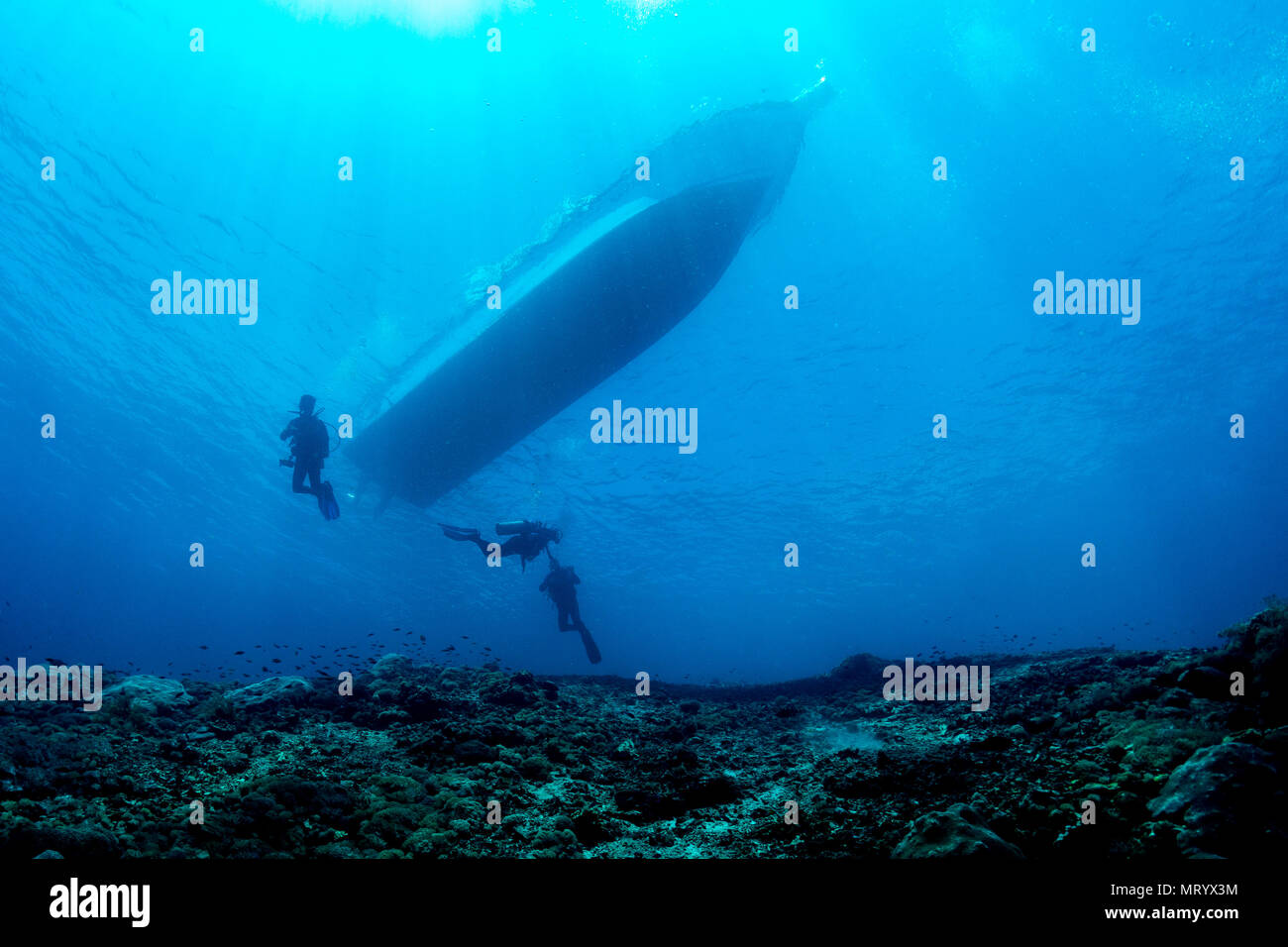 Les plongeurs descendent pour commencer une plongée à Nusa Penida, une île au large de Bali, Indonésie. Banque D'Images