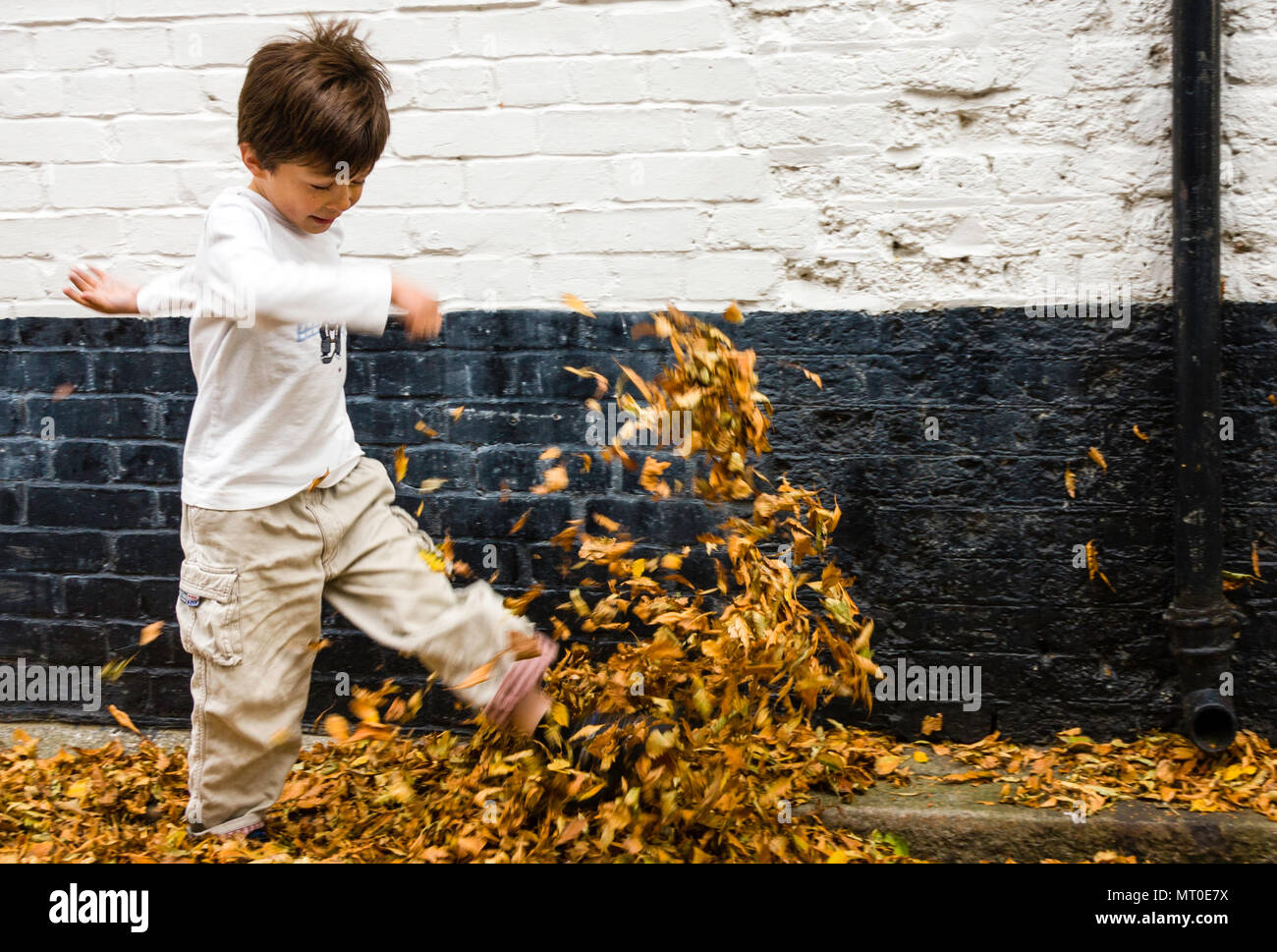 Caucasien enfant, garçon, 5-6 ans, marcher le long de la chaussée en noir et blanc mur, coups de feuilles d'automne dans l'air. Vue latérale. Banque D'Images
