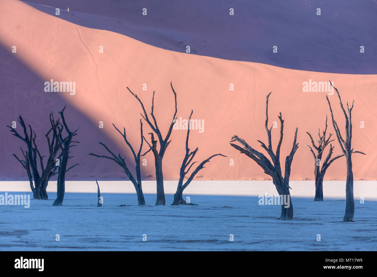 Sossusvlei, désert du Namib, Namibie, Afrique Banque D'Images