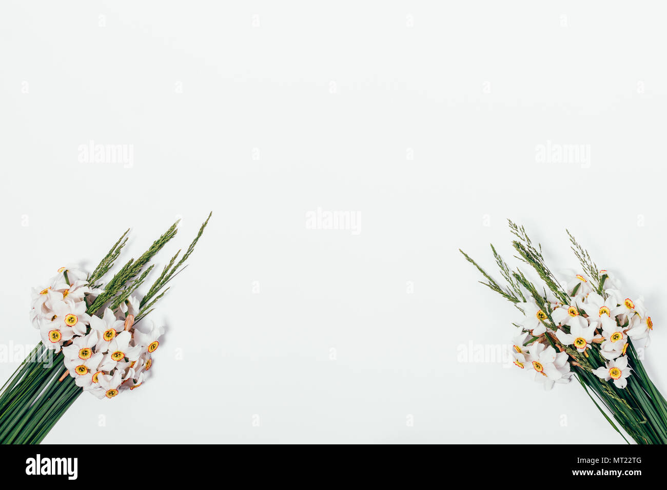 Deux bouquets de belles fleurs de narcisses avec épillets vert sur fond blanc. Composition florale symétrique élégant avec copie espace. Banque D'Images
