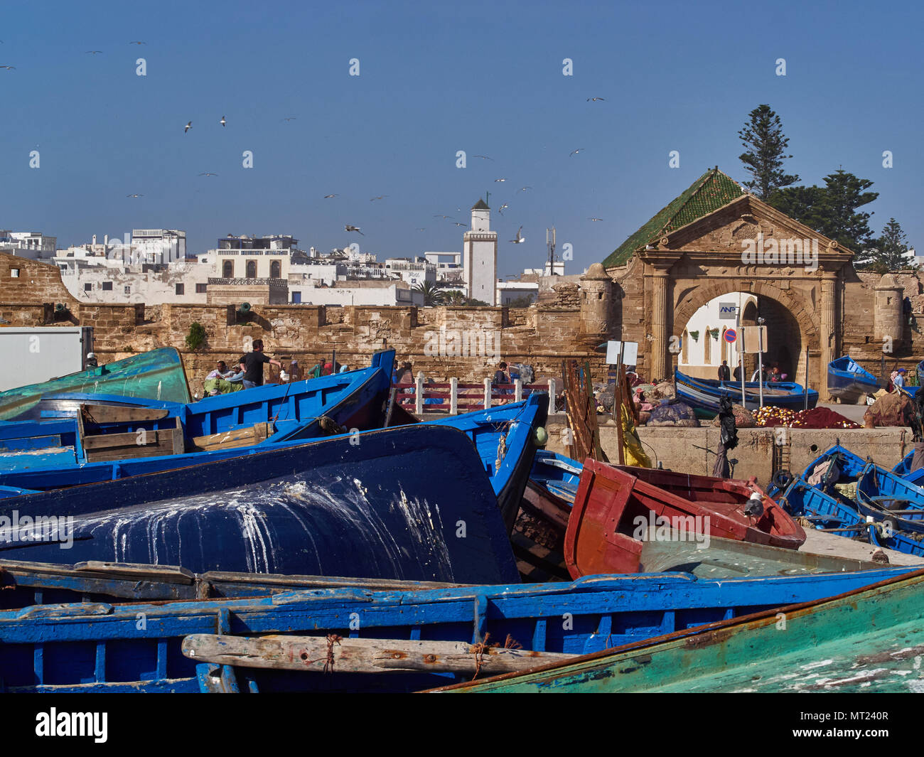 Port de la ville d'Essaouira, bateaux en bois bleu vif au premier plan, en arrière-plan des bâtiments en pierre de l'ancienne médina, Maroc. Banque D'Images