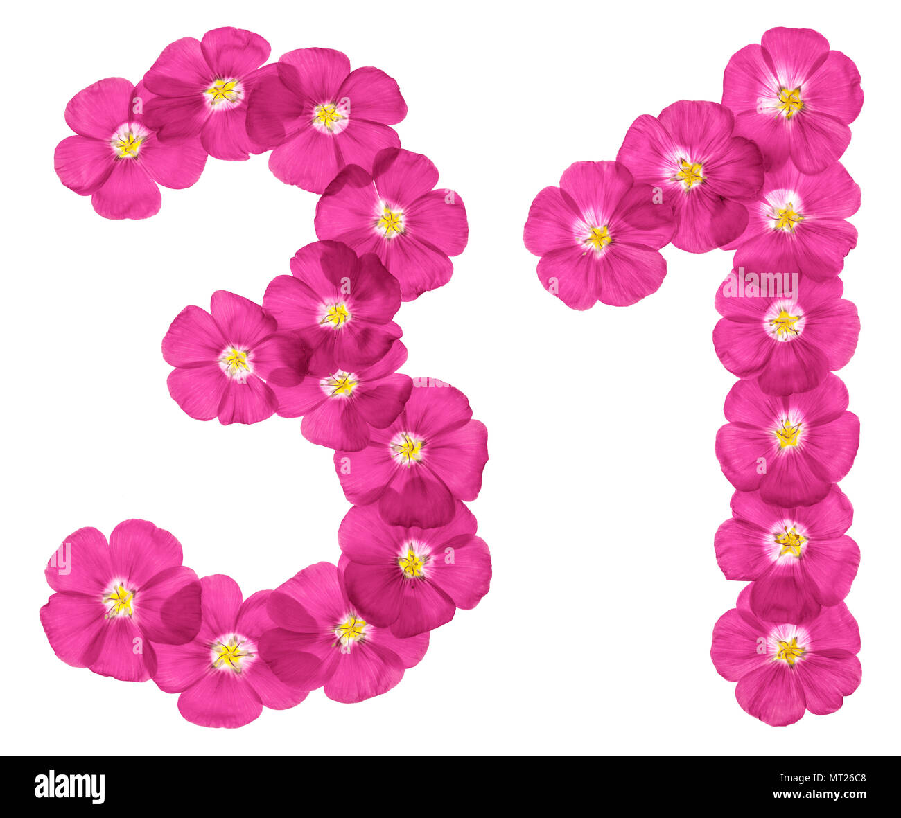 Chiffre Arabe 31 Trente Et Un Du Rose Des Fleurs De Lin