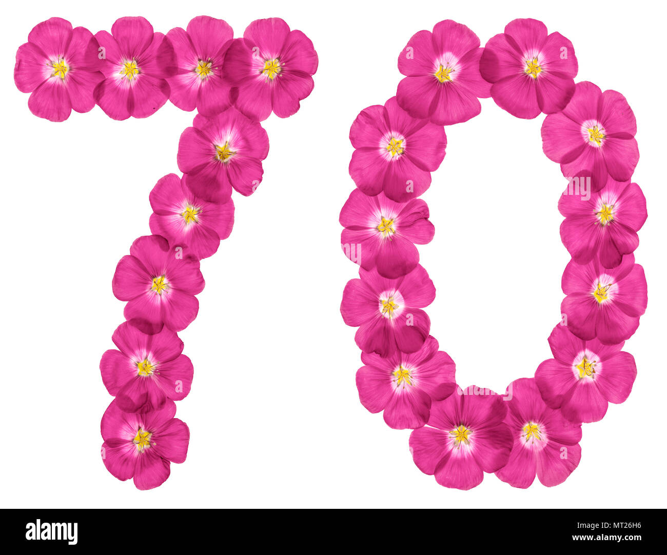 Chiffre arabe 70, soixante-dix, à partir de fleurs roses de lin, isolé sur fond blanc Banque D'Images