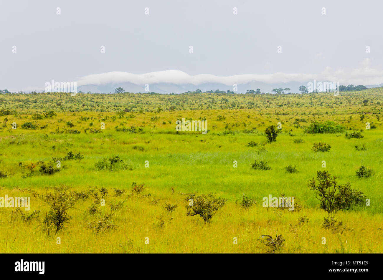 Des collines, l'herbe verte et des nuages blancs dans la campagne de la République du Congo, Afrique Centrale Banque D'Images