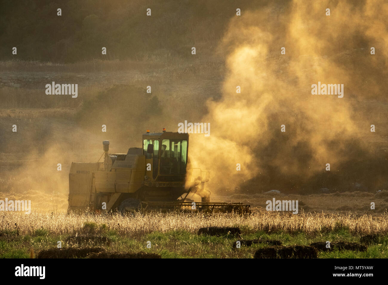 Une moissonneuse-batteuse New Holland travaillant dans un champ près de Rizokapaza, Chypre du Nord Banque D'Images