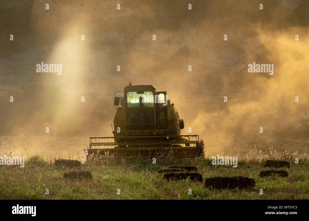Une moissonneuse-batteuse New Holland travaillant dans un champ près de Rizokapaza, Chypre du Nord Banque D'Images