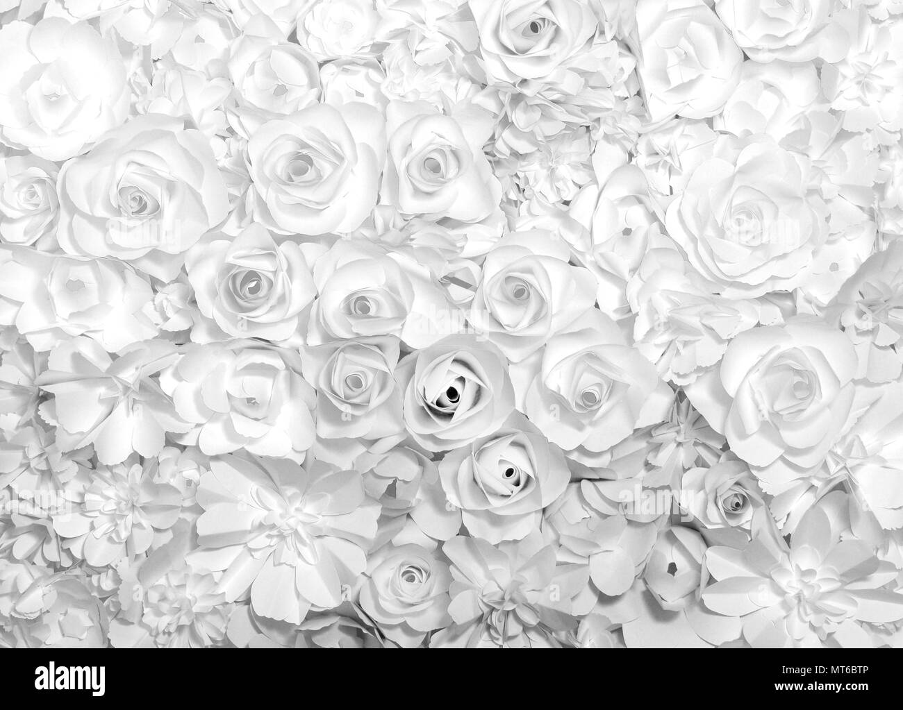 Fleurs noires et blanches de style charmant motif de fond de papier. Banque D'Images