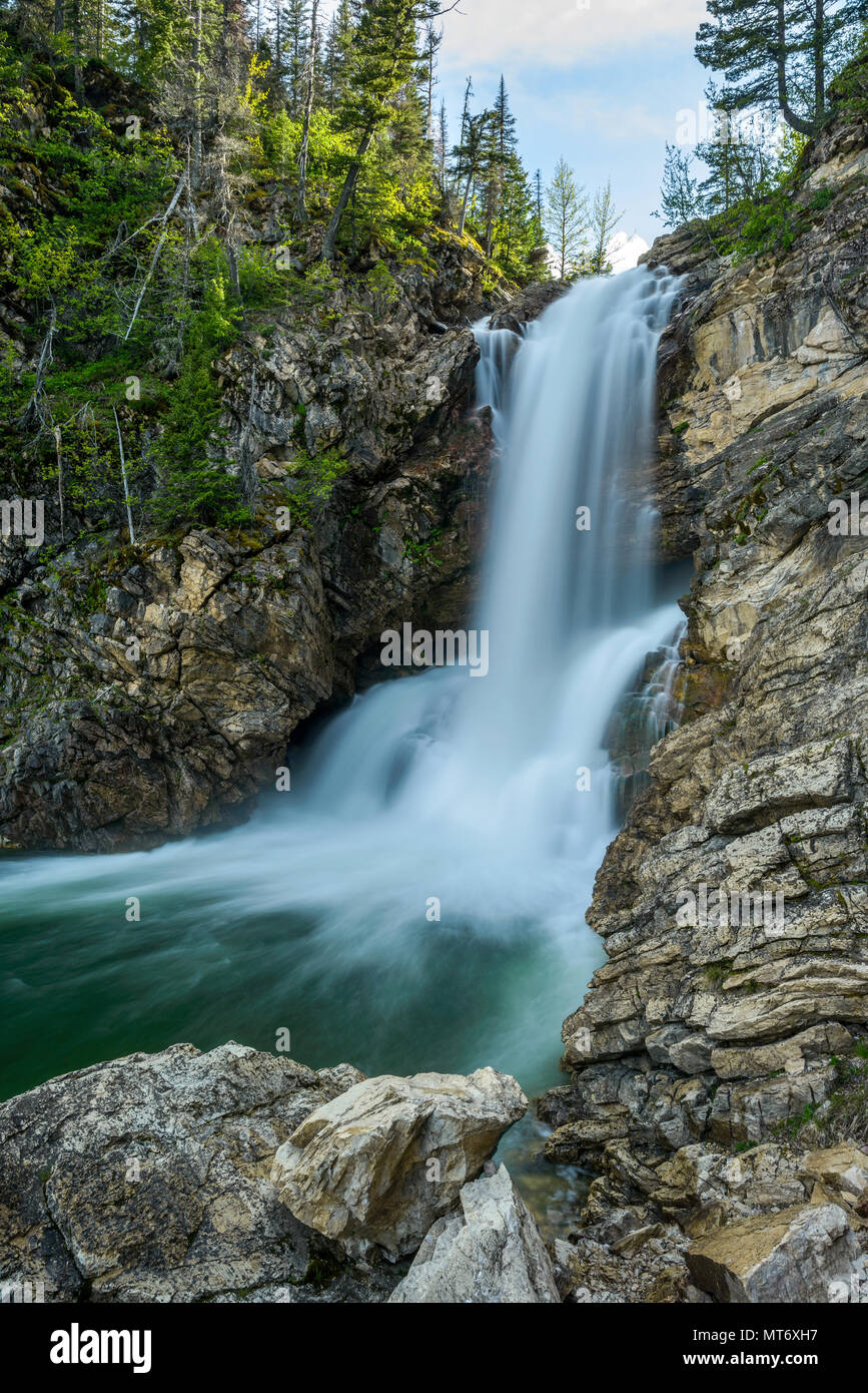 L'exécution de Eagle Falls - Vertical - un soir de printemps voir l'exécution de Eagle Falls dans la région de la vallée de la médecine à deux de Glacier National Park, Montana, USA. Banque D'Images