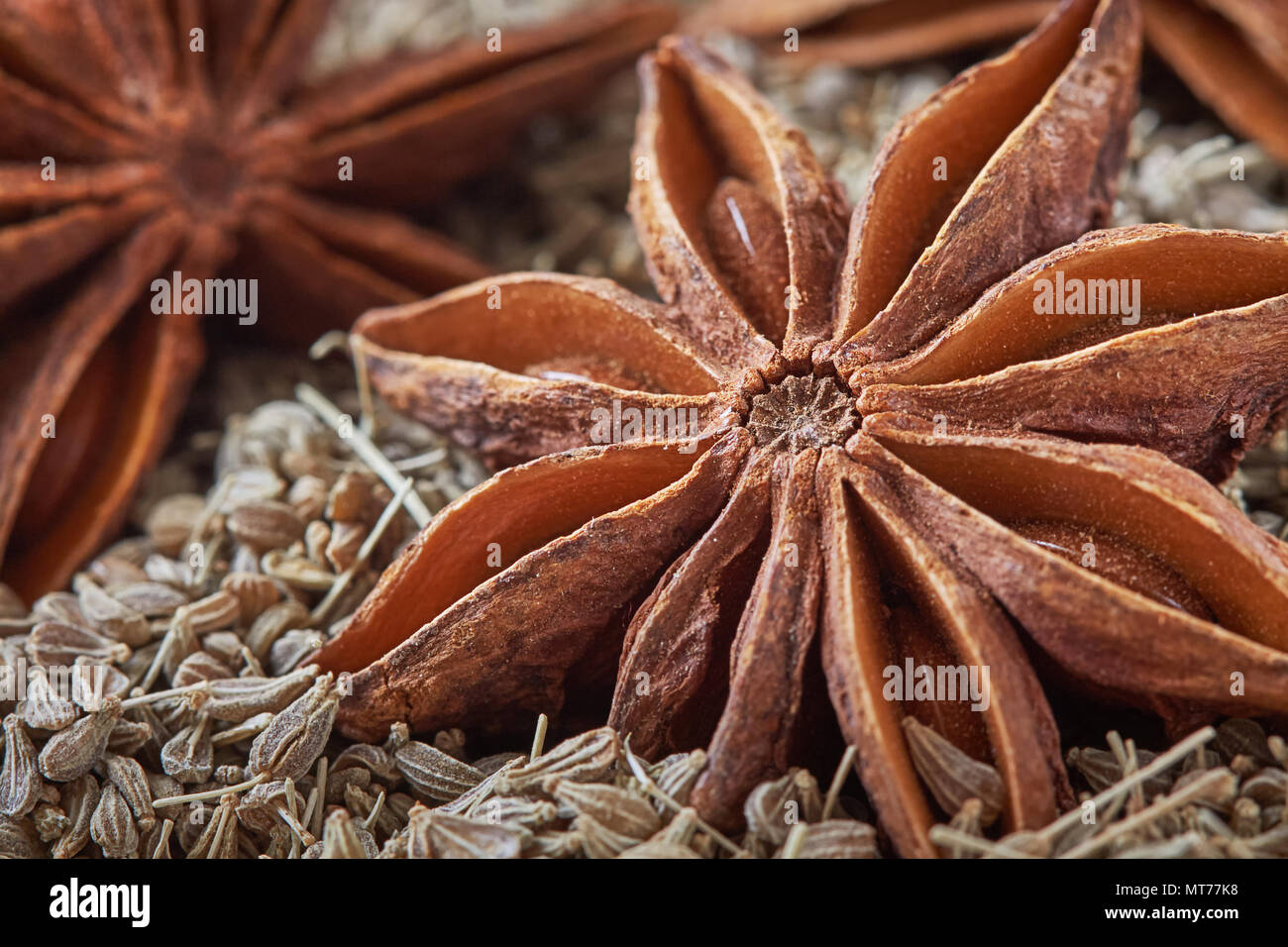 L'anis étoilé (Illicium verum) et de graine d'anis, également connu sous le nom de l'anis (Pimpinella anisum) Banque D'Images