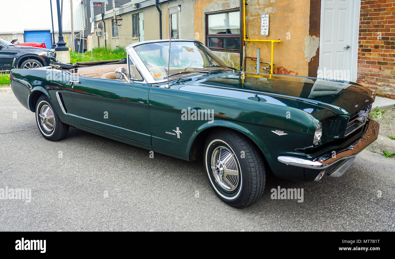 1965 Ford Mustang,Old vintage voitures à exposition de voitures anciennes  en Ontario,Canada Photo Stock - Alamy