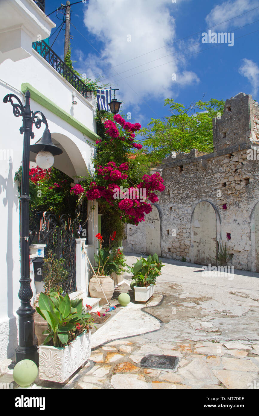 Bougainvilliers rose, escalade le mur blanc d'une maison méditerranéenne à Fiskardo sur l'île grecque Cephalonia Banque D'Images
