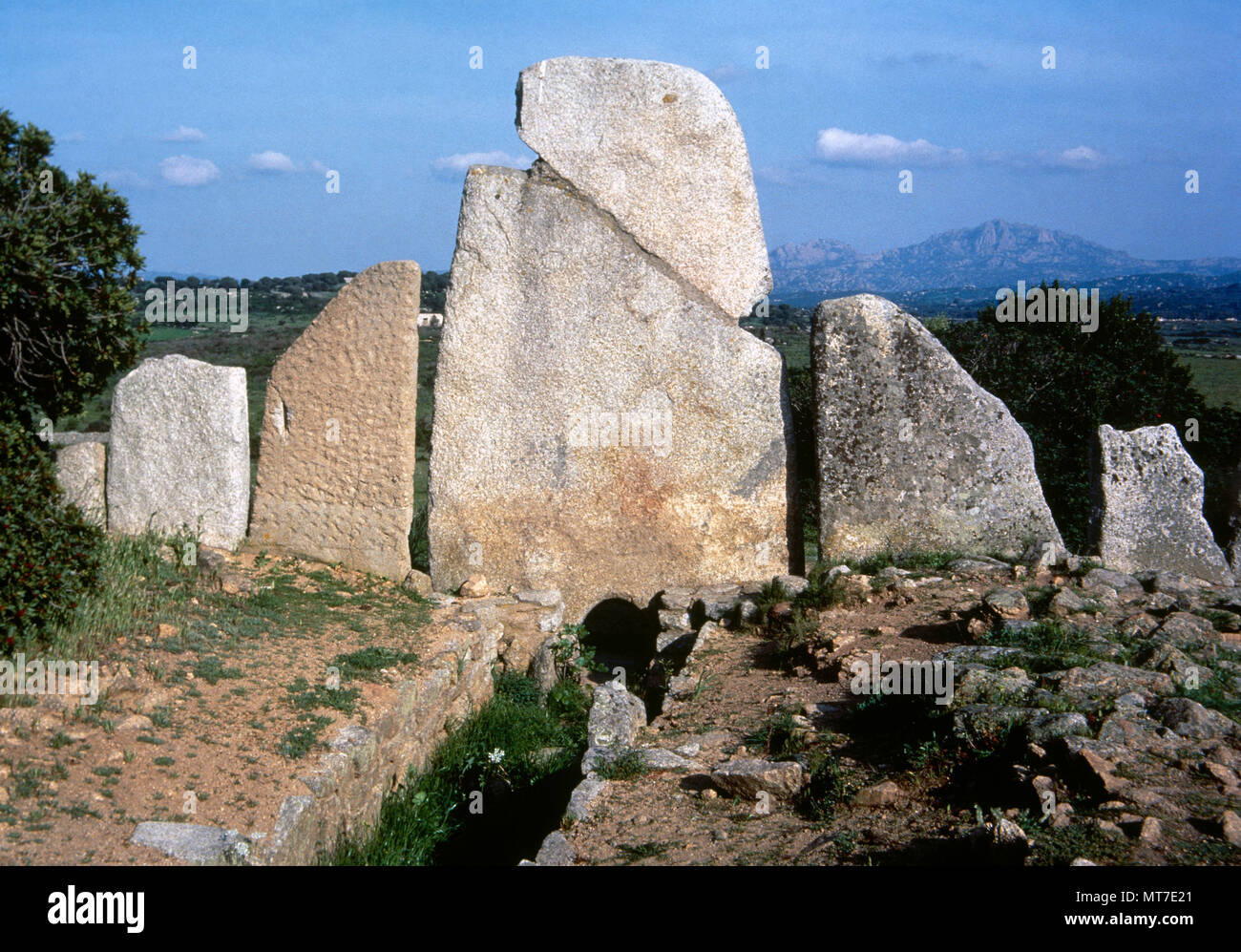 Tombeau du géant. Li Lolghi. Monument funéraire nuragiques, près d'Arzachena. Monument construit au milieu de l'âge de bronze. Fosse commune pour les notables de la Gens. Ces monuments ont été construits sur l'île principalement par les nuraghi, constructeurs de 1900 BC jusqu'à l'invasion par Carthage. Sardaigne, Italie. Banque D'Images