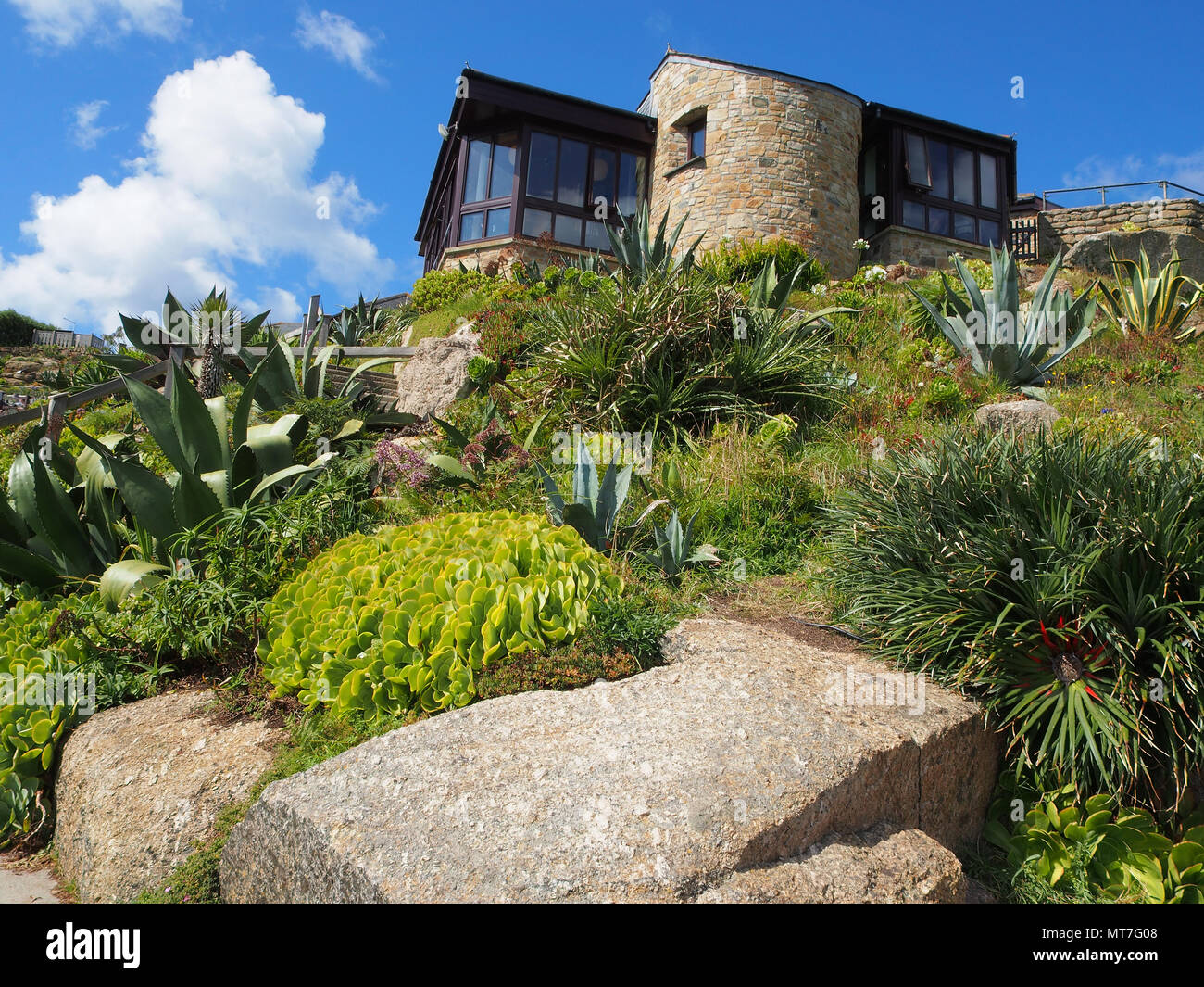 Café et jardins à l'Théâtre Minack Theatre à Cornwall, Angleterre, Royaume-Uni, montrant certaines des plantes grasses grandi là. Banque D'Images