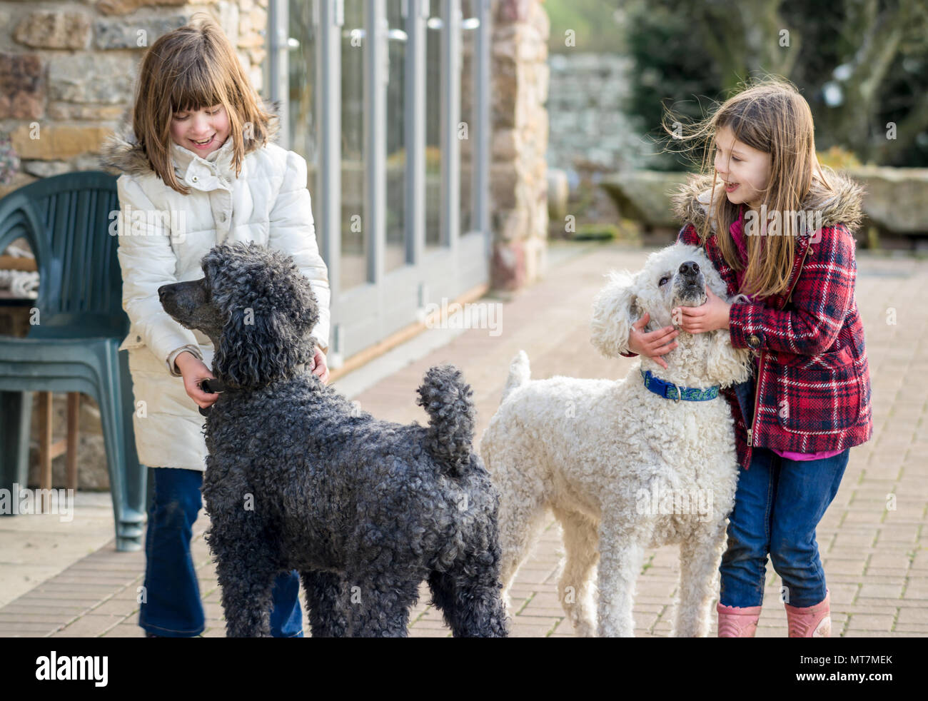 Deux filles de race blanche haute classe Britsh (enfants) le jeu et le plaisir avec de grands animaux de caniches standard dans la couche naturelle dans un pays rural jardin Banque D'Images