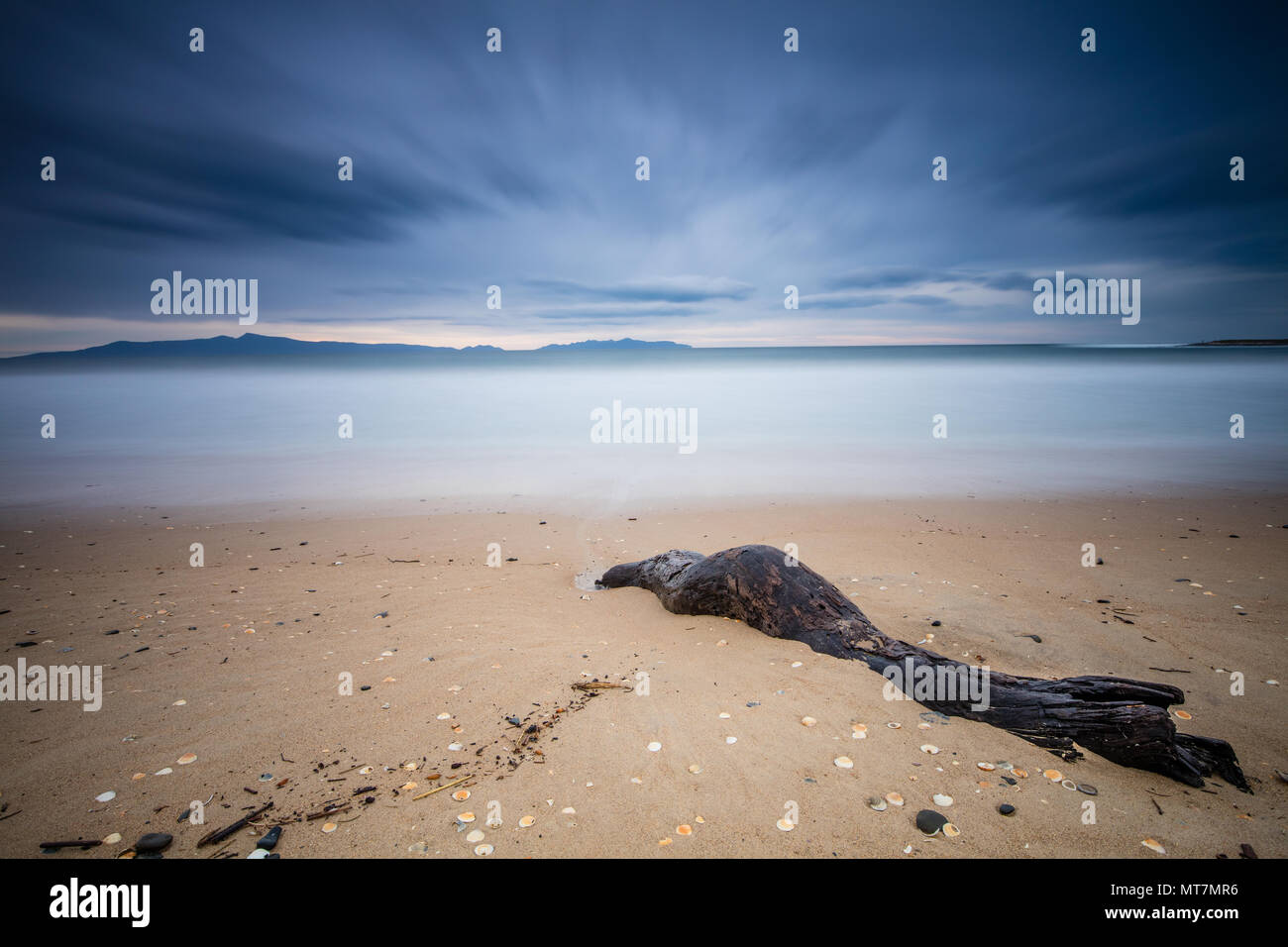 Plage et du bois flotté sur la côte est de la Tasmanie au cours d'une longue exposition Banque D'Images