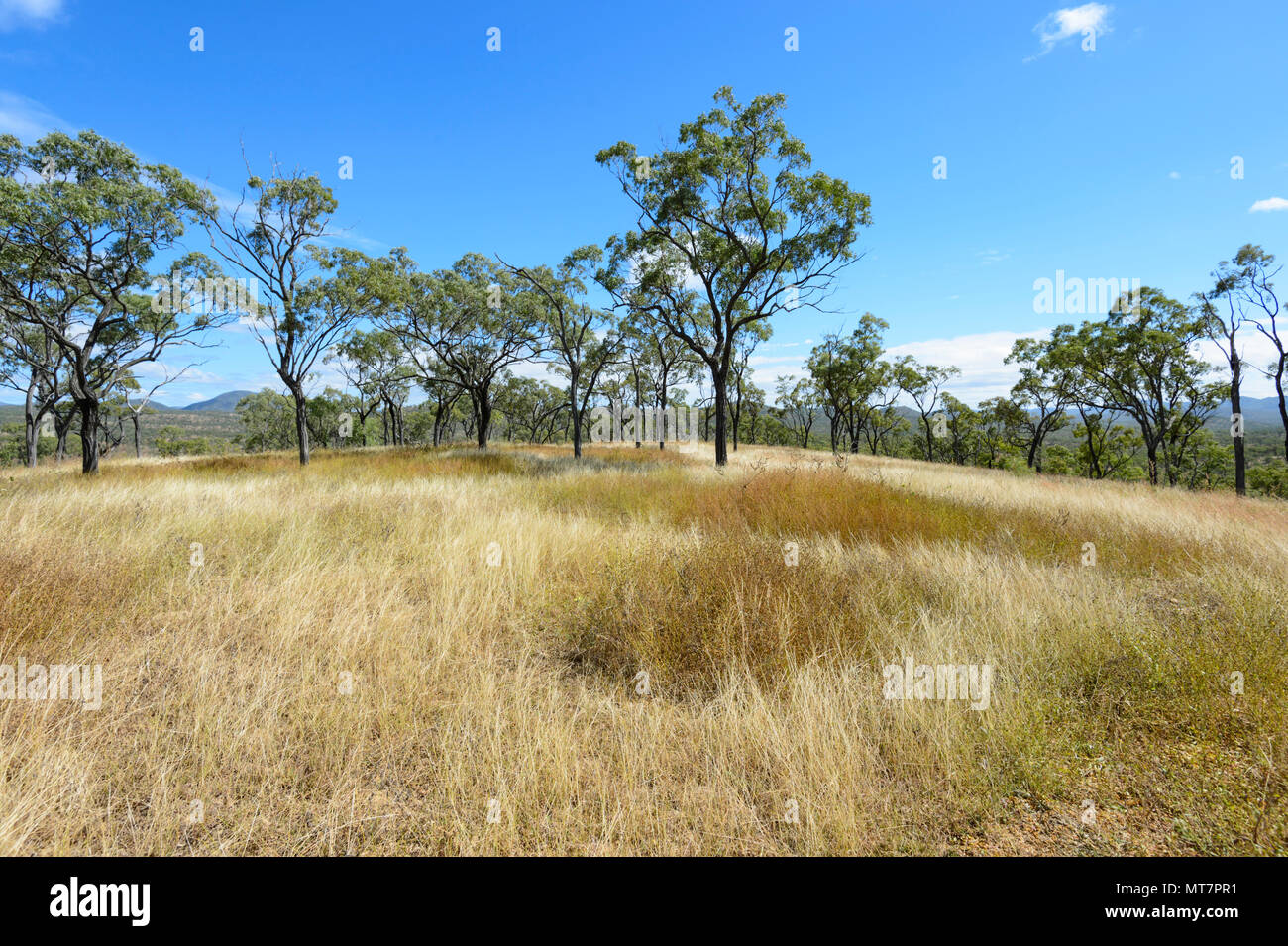 Vue panoramique de l'Hodgkinson Goldfields, près du Mont Mulligan, Far North Queensland, Queensland, Australie, FNQ Banque D'Images