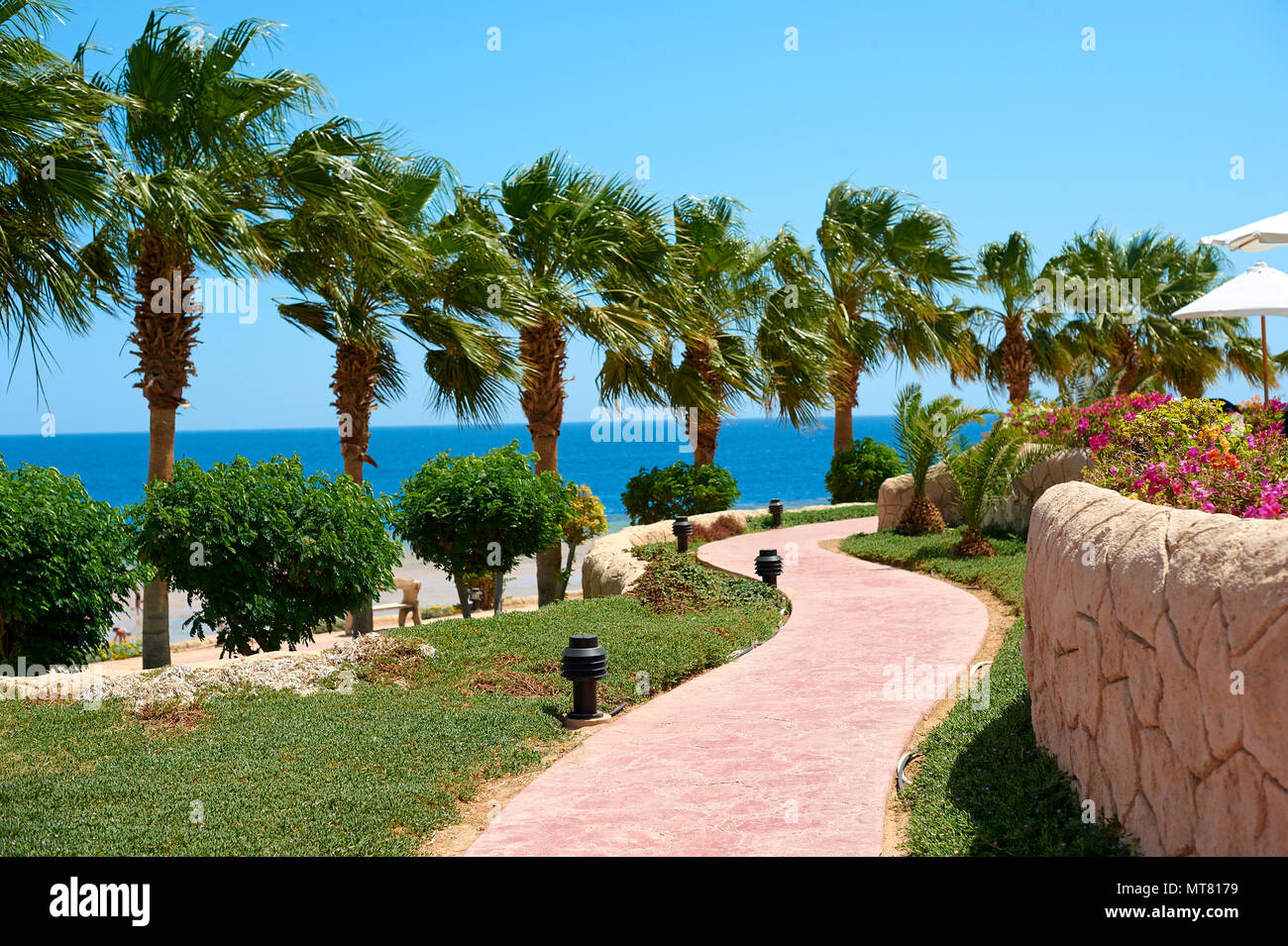 Des palmiers de la promenade côtière donnant sur l'extérieur de l'hôtel de la mer rouge, travel concept en Egypte, Sharm El Sheikh. Banque D'Images