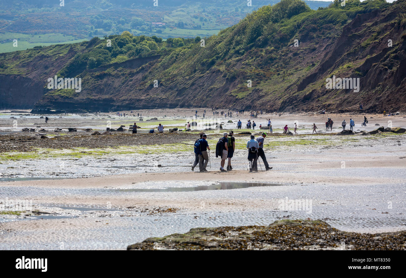 Des groupes de marcheurs le long du bord de mer à Robin Hood's Bay, Yorkshire, UK prise le 21 mai 2018 Banque D'Images