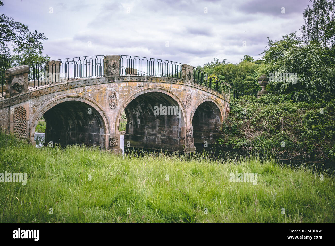 Vaches Highland Banque D'Images