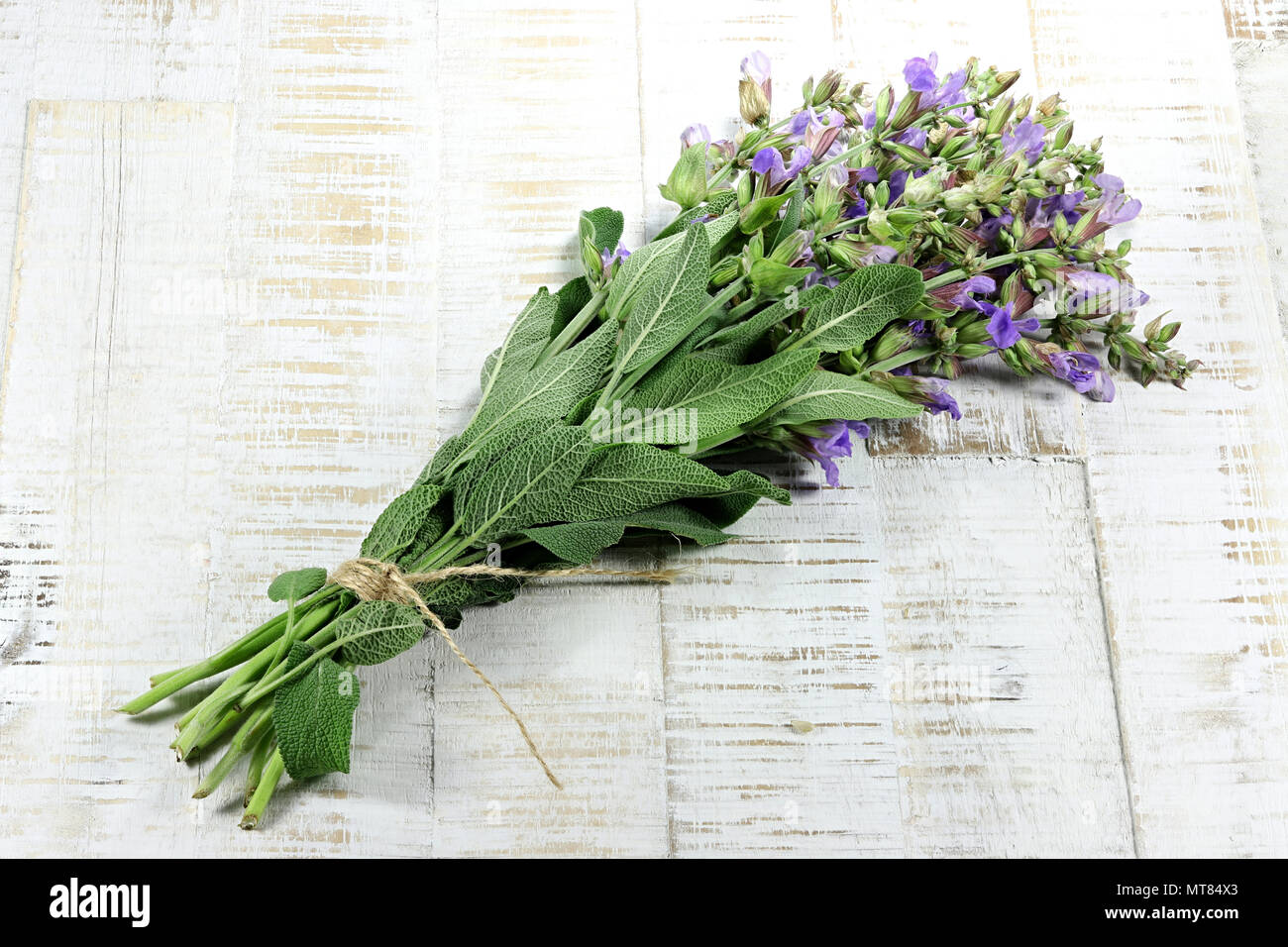 Bouquet de sauge sur fond de bois Banque D'Images