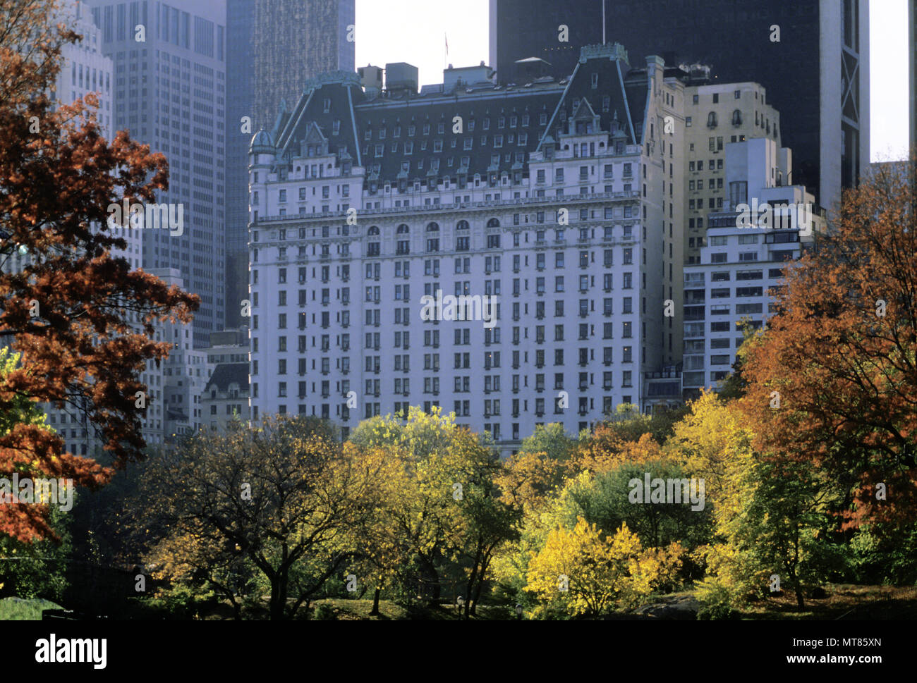 HÔTEL HISTORIQUE 1988 FALL FEUILLAGE PLAZA (©HENRY J HARDENBERGH 1907) CENTRAL PARK SOUTH MANHATTAN NEW YORK CITY ÉTATS-UNIS Banque D'Images